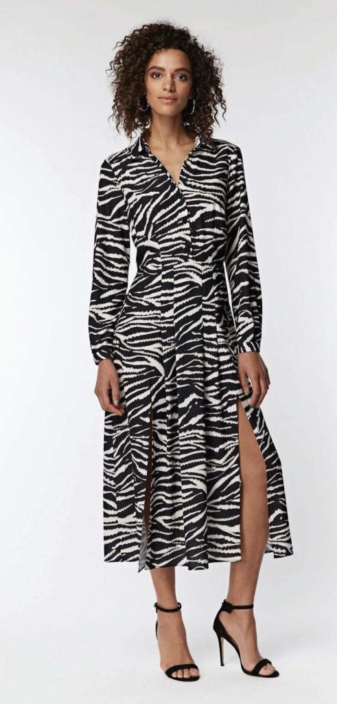 april-2019-fashion-zebra